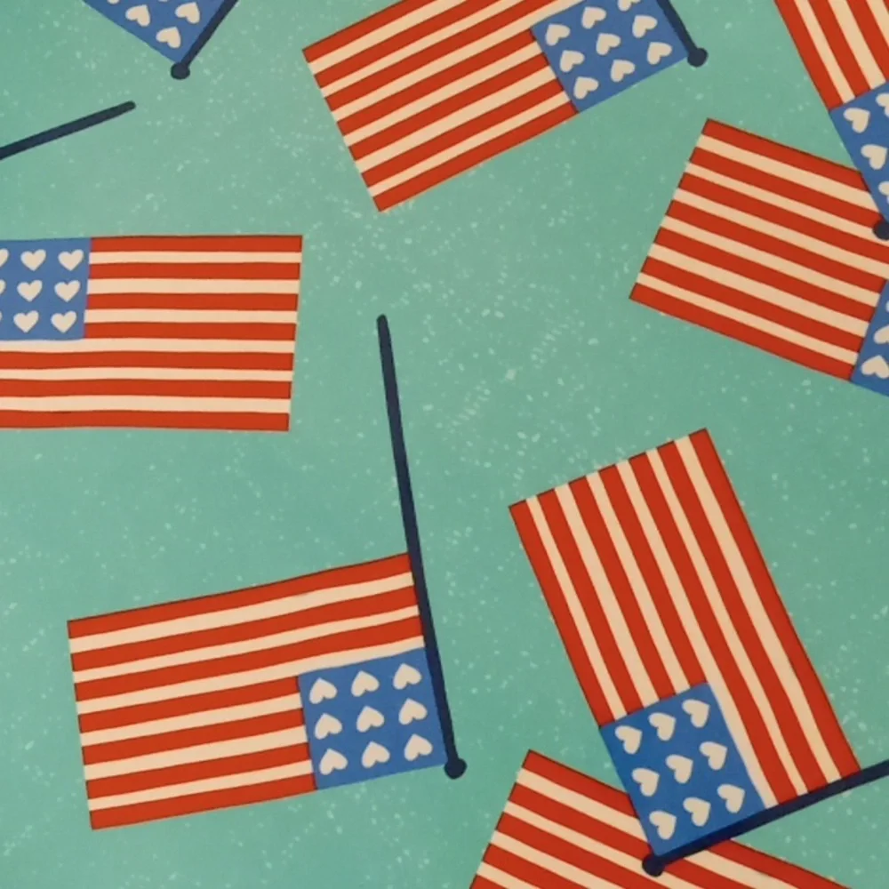 American Flag Pattern Plates New Pier 1